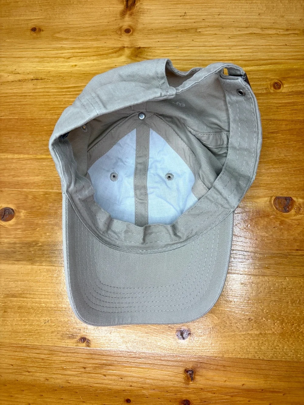 Vintage Minnesota State Lottery Hat American Image Loon Embroidered Wildlife Cap